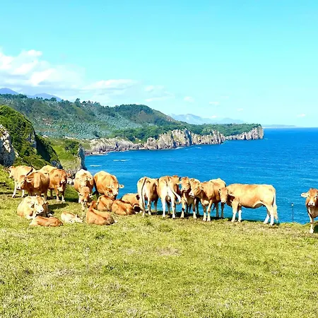 Horizonte Del Cantabrico Daire