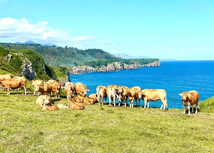 Horizonte Del Cantabrico Daire